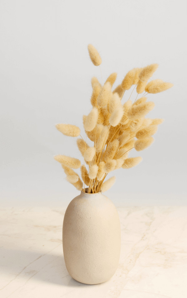 8376cc20 image2 min.jpg